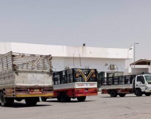 طش اثاث في الرياض